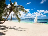 wmremove-transformed-1-copy